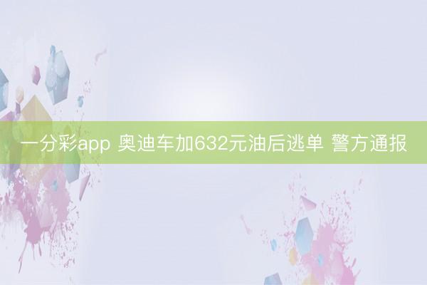 一分彩app 奥迪车加632元油后逃单 警方通报